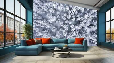 White winter forest from above Wall mural