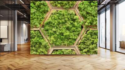 Seamless texture of floral moss modules in hexagon wooden frames. Wroclaw. Poland. Wall mural