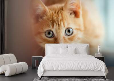 Red little cat Wall mural