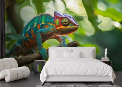 A colorful chameleon is perched on a branch in a lush green forest Wall mural