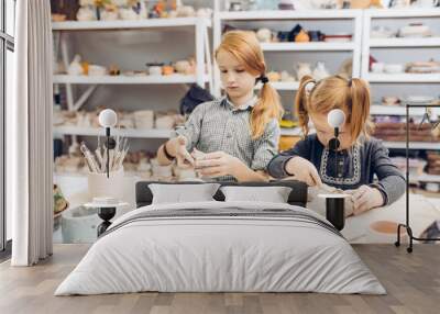 hand-building and sculpting. two sisters are in the pottery classes. close up photo. kids clay room Wall mural