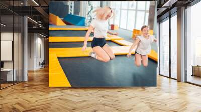 two sisters bouncing in the trampoline park Wall mural