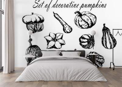 drawing set collection of decorative striped pumpkin sketch hand drawn vector illustration Wall mural