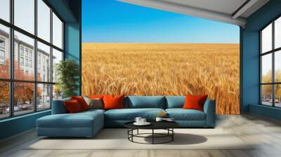 A vast golden wheat field under a clear blue sky, showcasing the beauty of nature Wall mural