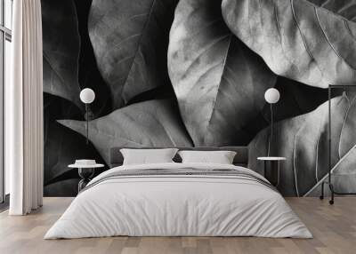 Artistic black and white background of leaves Wall mural