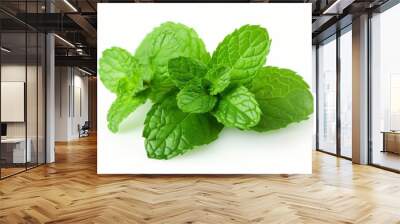 Fresh Mint Leaves: Aromatic Herb for Cooking and Beverages Wall mural