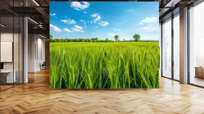 Vibrant green wheat field under a clear blue sky in spring Wall mural