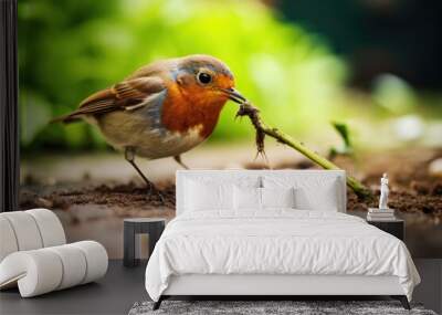 a robin pulling a worm from a freshly tilled garden Wall mural