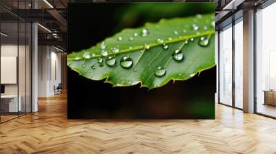 two raindrops on a leaf edge just about to drip Wall mural