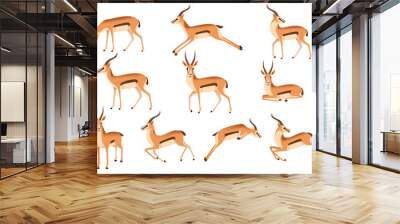 Set of african wild black-tailed gazelle with long horns cartoon animal design flat vector illustration on white background side view antelope Wall mural