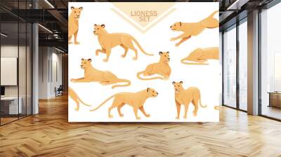 Set of lioness female lion animal cartoon design african savannah predator vector illustration on white background Wall mural