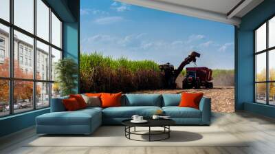 Harvesting machine working in sugar cane field in Brazil Wall mural