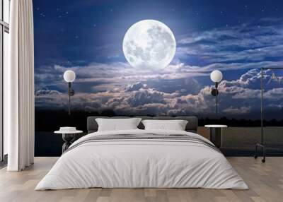 full moon over the sea Wall mural