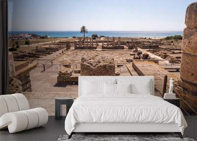 Ruins of the ancient Roman city Baelo Claudia en Bolonia, Tarifa, Andalusia, Spain Wall mural