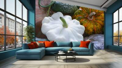 Cucumber, patisson and various pumpkins Wall mural