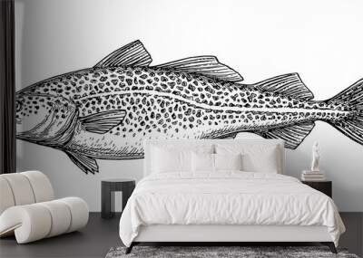 Ink sketch of cod fish. Wall mural