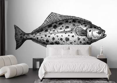 Ink sketch of halibut. Wall mural