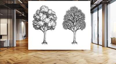 Ink sketch of two maples. Wall mural