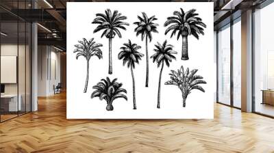 Palm tree set. Wall mural