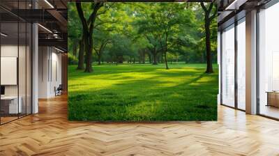 beautiful green park, relaxing wallpaper  Wall mural