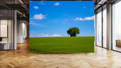 green field one tree Wall mural