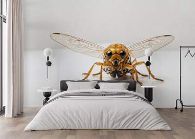 a yellow and black insect with large transparent wings. It has a prominent head with two large eyes. Wall mural