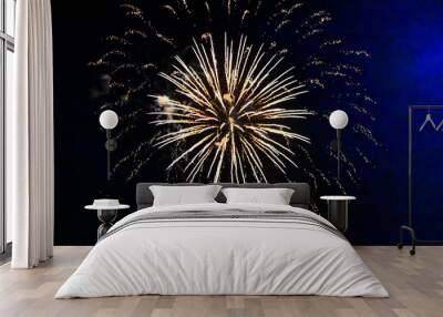 fireworks in the night sky Wall mural