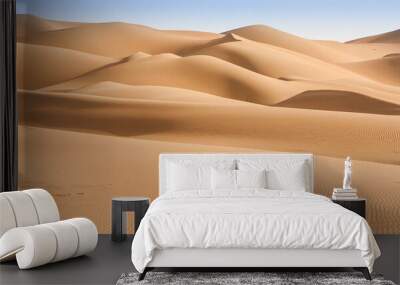 Liwa Desert Wall mural