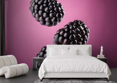 blackberries on colourful background Wall mural