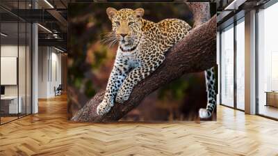 leopard on a branch Wall mural