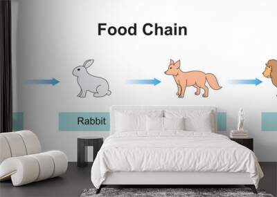 Scientific Designing of Food Chain. The Most Importante Relationship in Ecosystem. Colorful Symbols. Vector Illustration. Wall mural