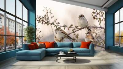 Sparrow perched on a tree branch Wall mural