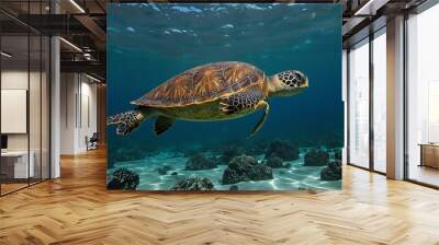 Turtle in water Wall mural