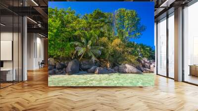 A shoreline of Ile Moyenne island in the Ste Anne Marine National Park off the north coast of Mahé, Seychelles Wall mural