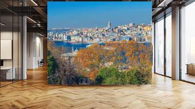 Aerial view of Galata Karakoy quarter with Galata Tower Kulesi or Tower of Christ Christea Turris building and Golden Horn waterway of Istanbul city historical centre, blue sky background, Turkey Wall mural