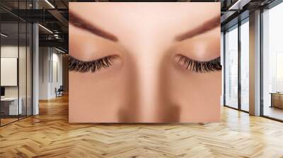 Eyelash Extension Procedure. Woman Eye with Long Eyelashes. Close up, selective focus. Wall mural