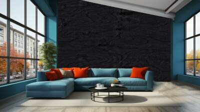 Black background. The texture of natural birch veneer with knots. The surface of birch plywood. Black and white photo. Wall mural