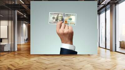 Businessman's hand holding a hundred dollar bill. The concept of salary, investment, donation. Wall mural