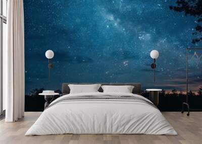 a campfire with a starry sky in the background Wall mural