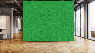 Green grass texture vector background. Wall mural