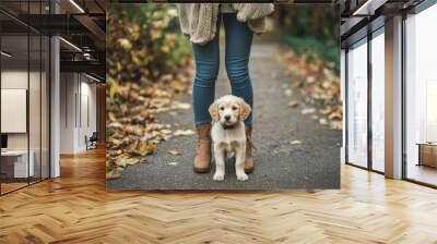 Low section of woman with puppy standing on footpath Wall mural