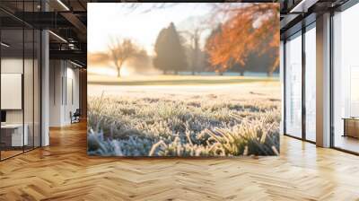 Frosty grass lawn at golf course in winter morning Wall mural