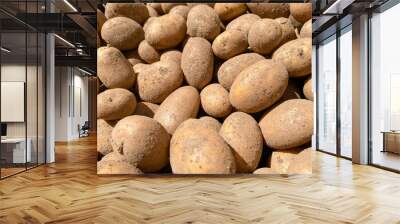 Texture of natural yellow beautiful ripe tasty healthy starchy potatoes fresh in the ground. The background Wall mural