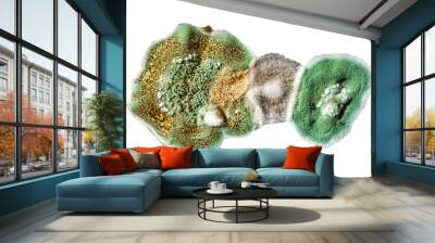 development of fungal mold in food, green mold on white background, microbiology macro abstract background Wall mural