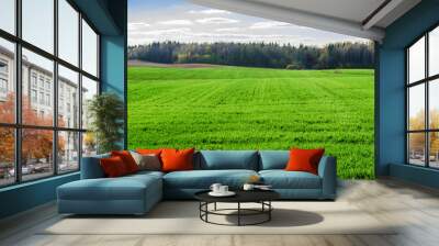 Green field, forest on the horizon and white clouds on blue sky Wall mural