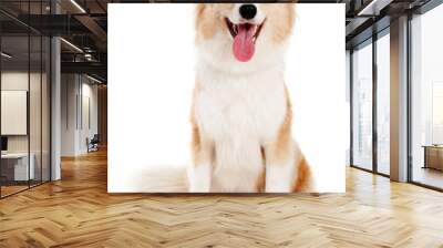 Red dog on white background Wall mural