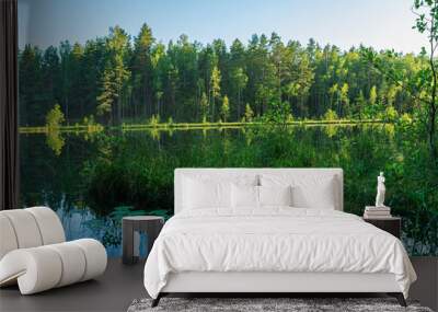 Island with grass in a calm blue forest river. On the opposite bank is a forest with coniferous and deciduous trees. Wildlife landscape on a summer evening with partially illuminated areas Wall mural