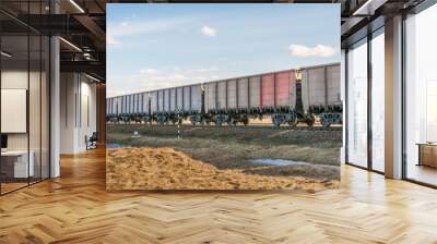 the locomotive and a lot of freight cars are traveling by rail, freight train on rails in the steppe Wall mural