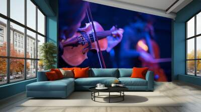 violin at a concert Wall mural