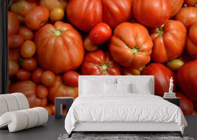 Tomato is a fruit but also a vegetable. The tomatoes in Italy are delicious and are grown in all the gardens. They are the ideal sauce for spaghetti and pizza Wall mural